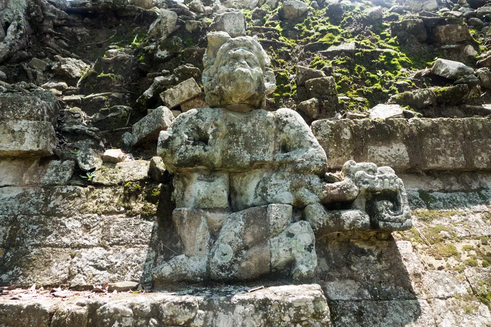 Nativos