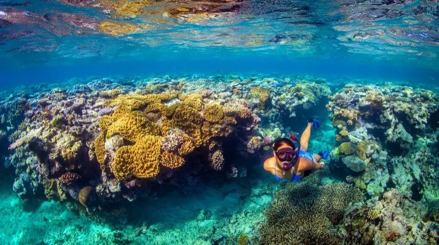 Las 35 aguas más cristalinas del mundo Las 35 aguas más cristalinas del mundo