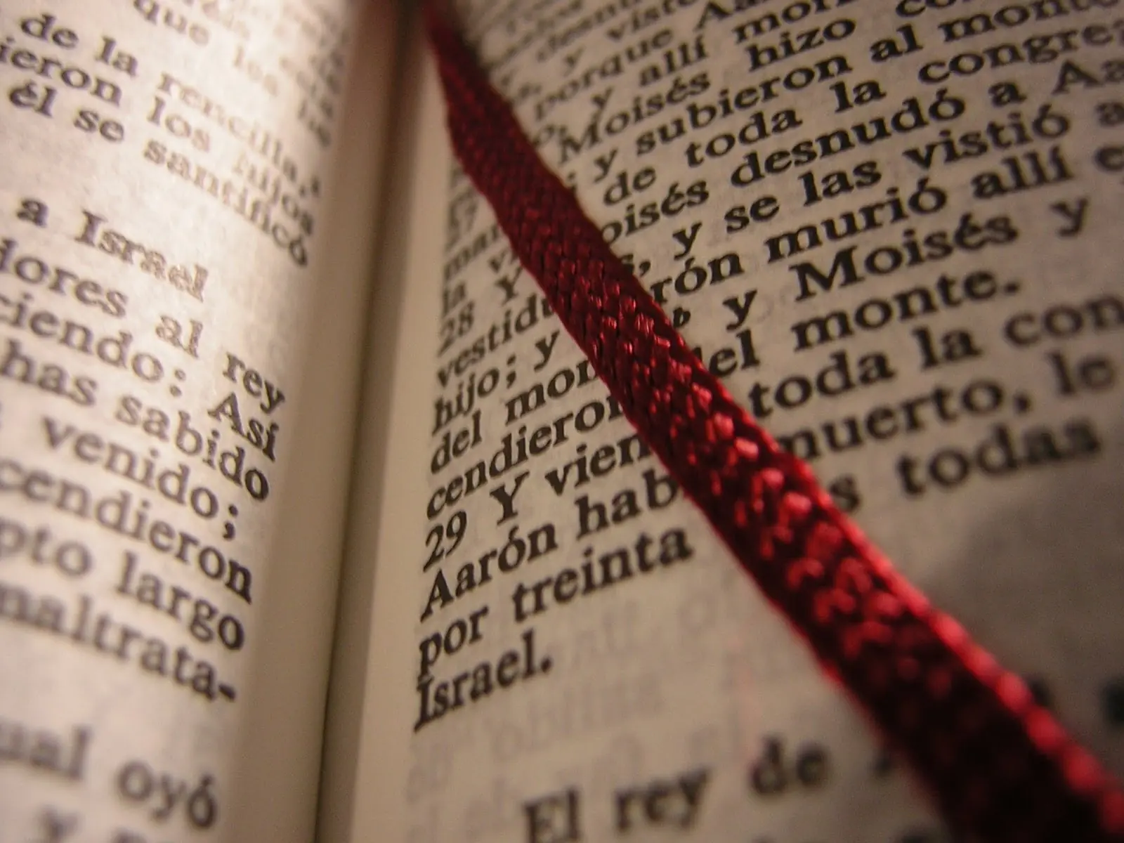 ¿Cuál es la mejor traducción de la Biblia?