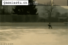 Gifs