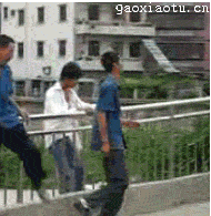Gifs