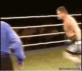 Más de 50 gifs para hacerte reir