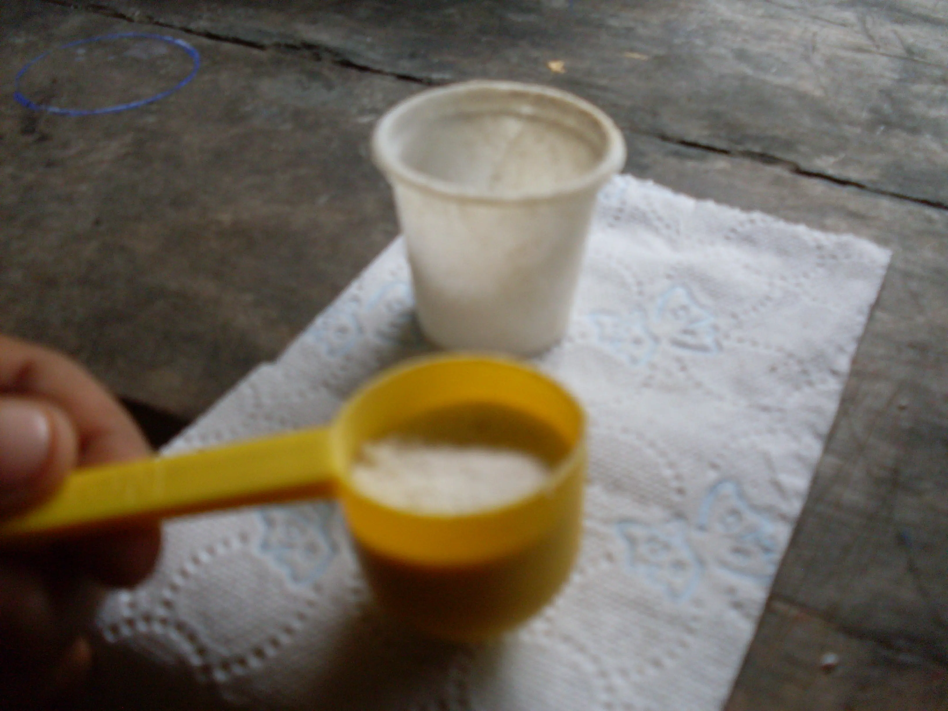 hidroponia casera
