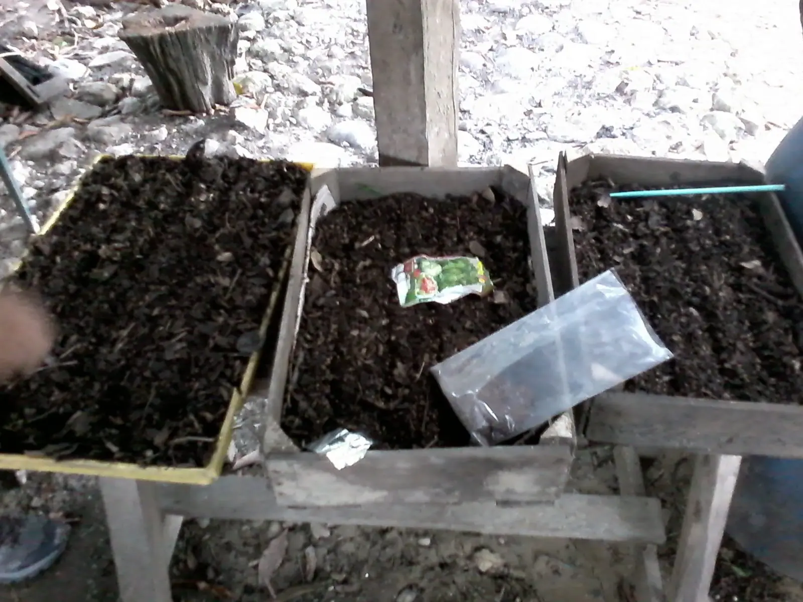 Hice mi cultivo hidroponico en casa y te lo muestro.