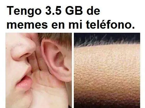 gracioso