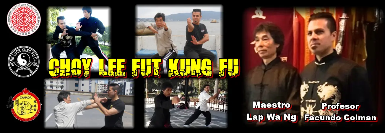 Kung fu: Significado de las formas.