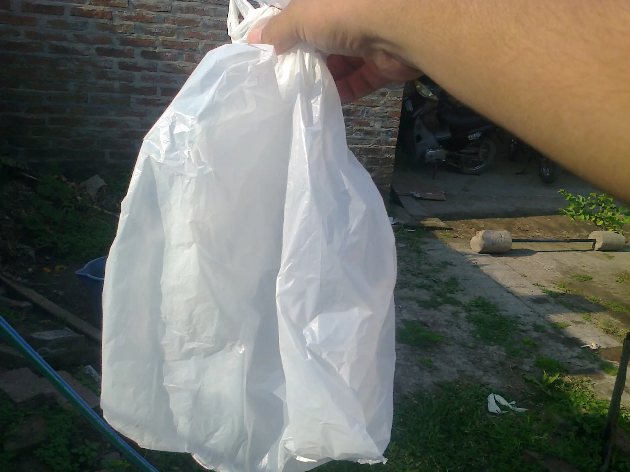 chan chan