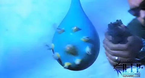 Esta es la Bala más mortífera del mundo. Esta es la Bala más mortífera del mundo.
