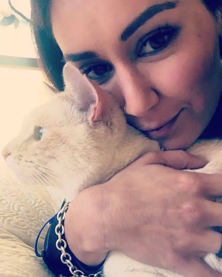 Encontró a su gato tras dos años de búsqueda