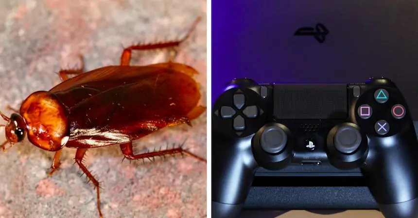 Atención:Cucarachas que viven en tu PS4, lo que debes saber