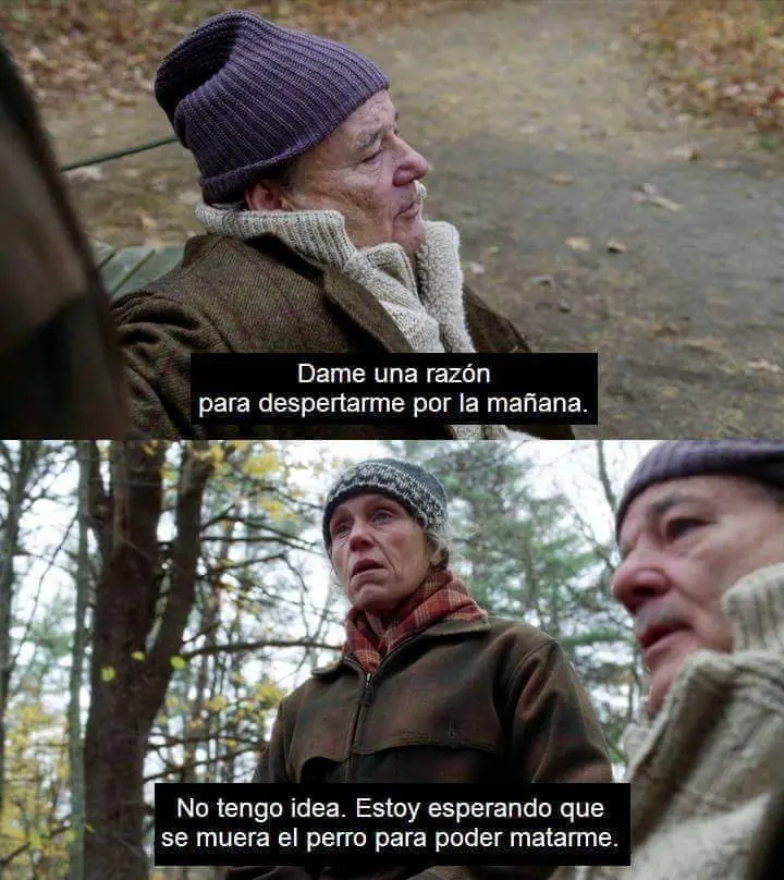 gracioso
