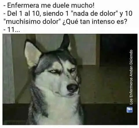 Humor gracioso para comenzar bien el fin de semana #13