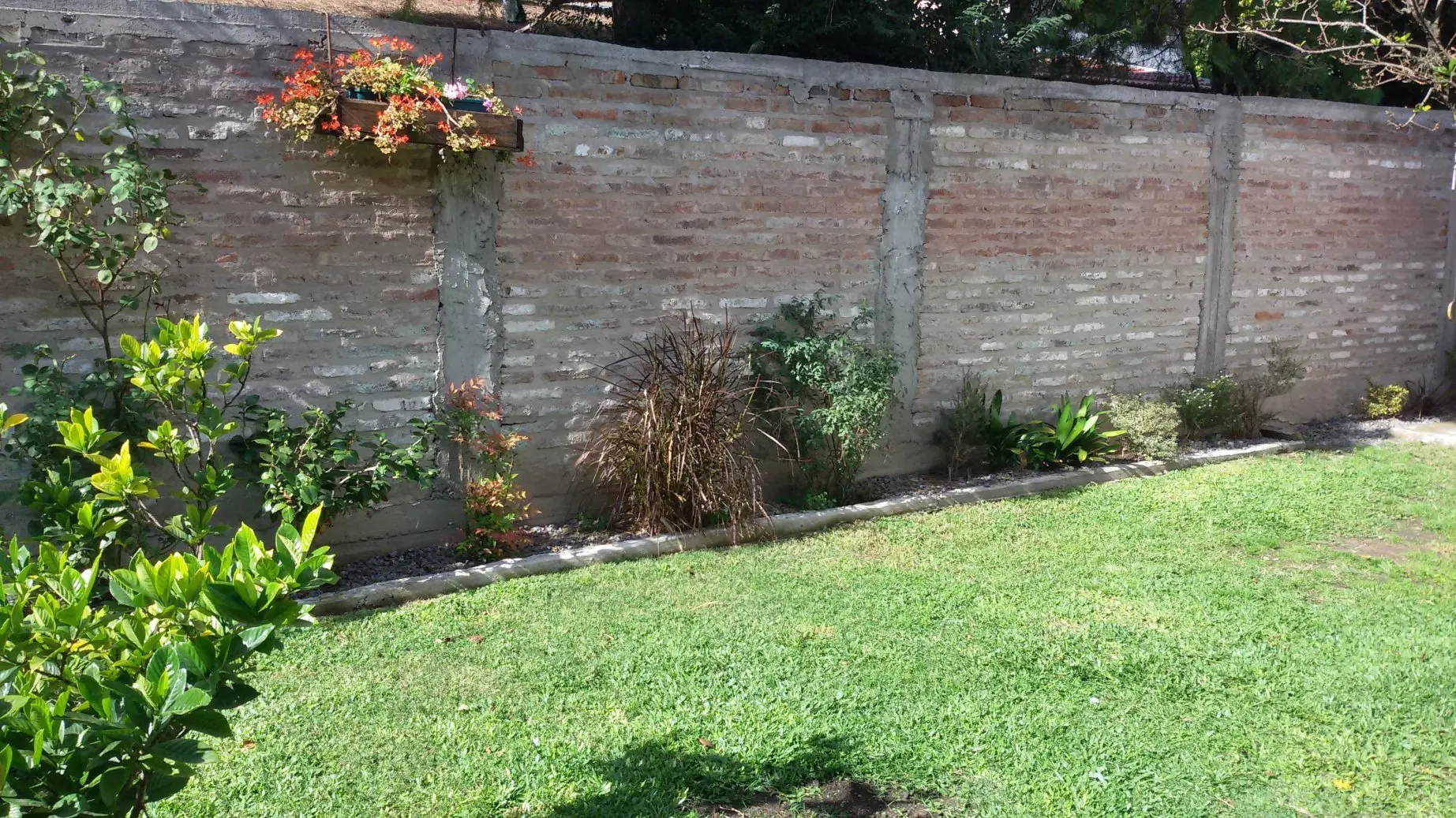 jardin jardin