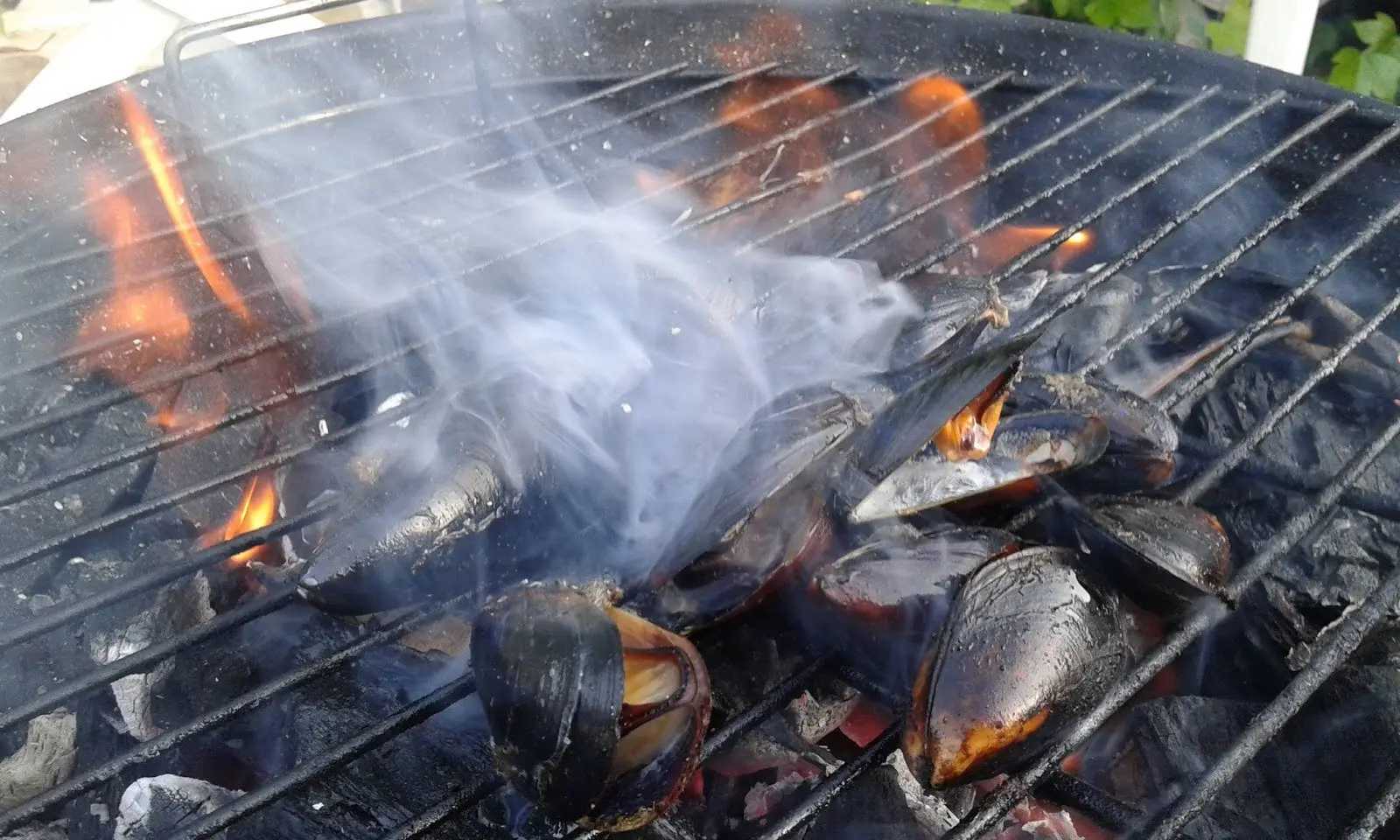 comida chilena