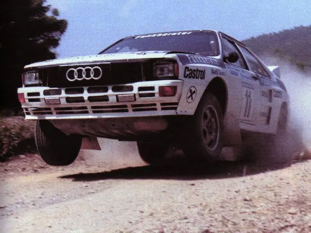 Rally Rally