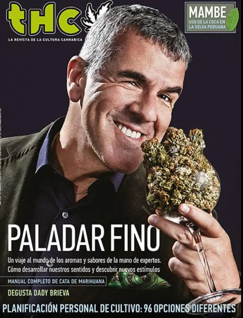 La Legalización en Holanda hace caer consumo