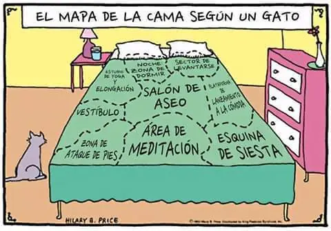 Humor: 45 imágenes graciosas para disfrutar un rato.