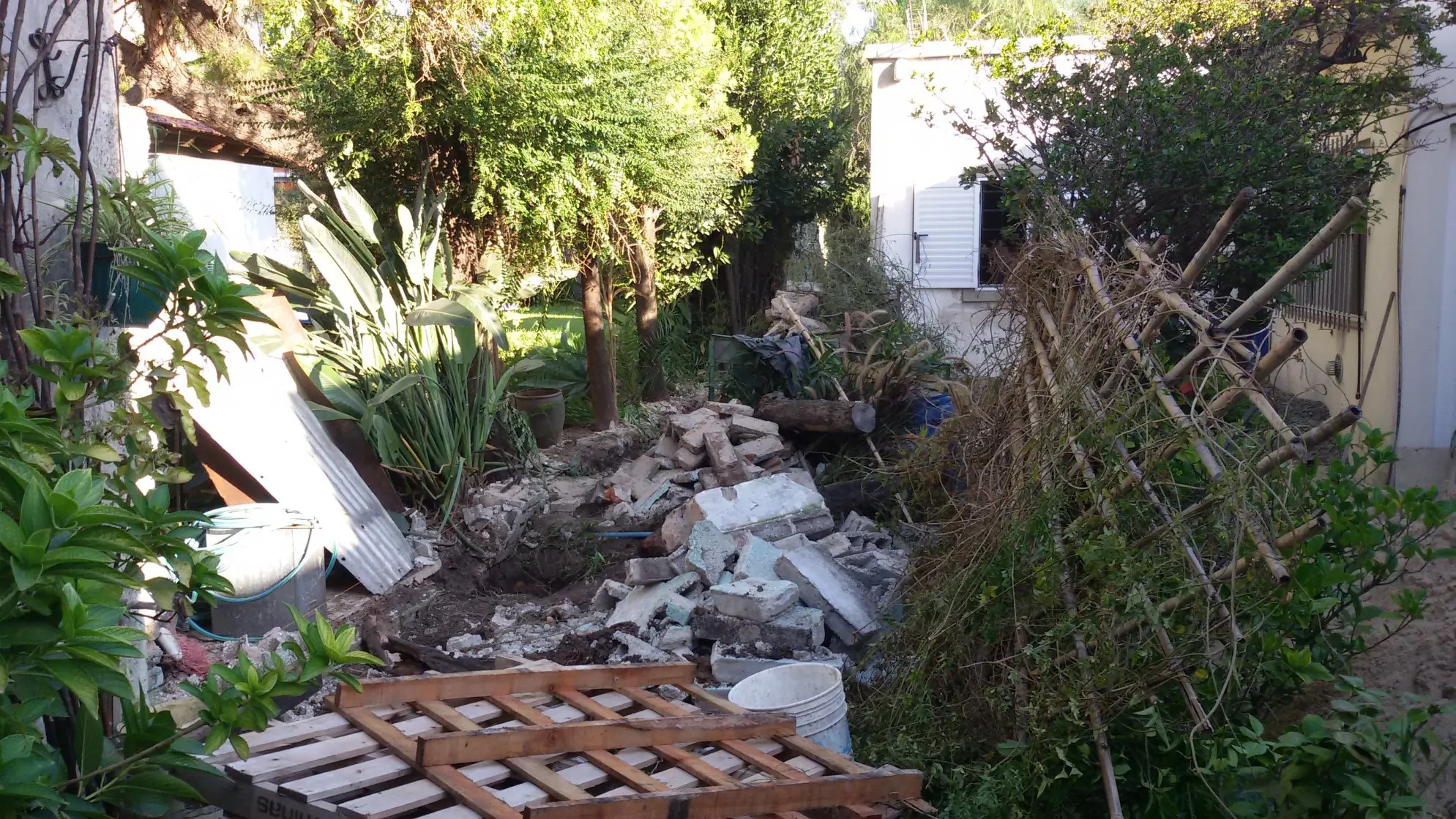 Intente arreglar mi jardin que era un desastre!
