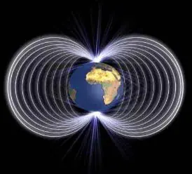 ciencia
