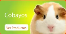 ciencia