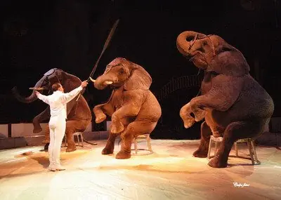 las mejores Anécdotas