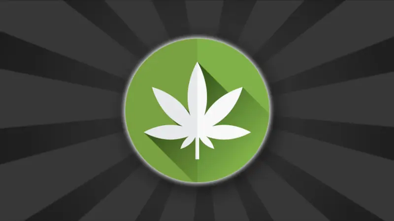 Cuando la CIA creó marihuana falsa porque la real era ilegal