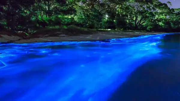Laguna Bioluminiscente