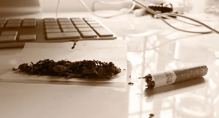 La Legalización en Holanda hace caer consumo