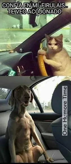 Mirate estas imagenes de humor papa