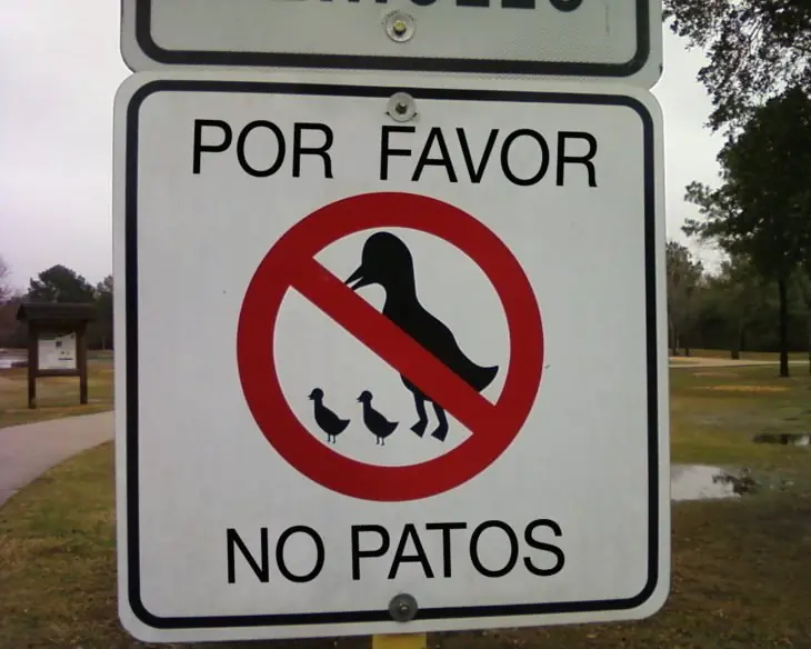 21 Carteles graciosos