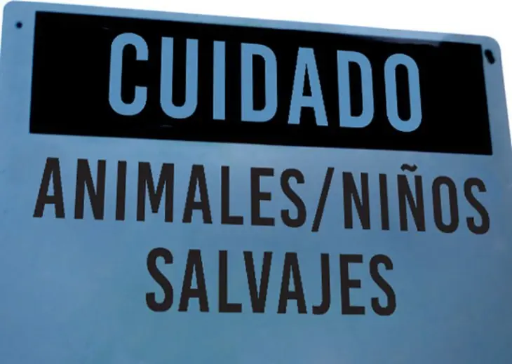 21 Carteles graciosos