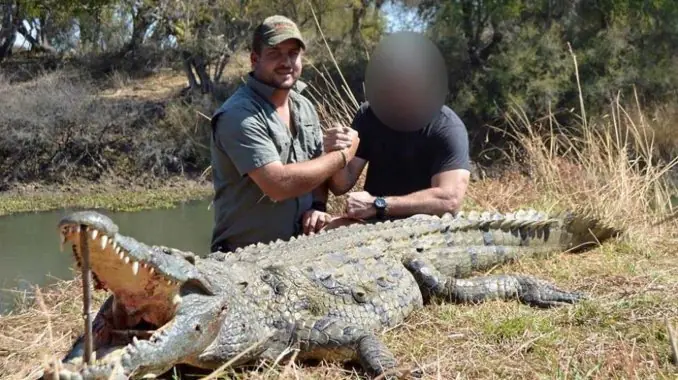Cazador murió devorado por dos cocodrilos