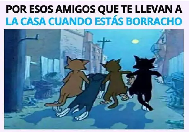 Mirate estas imagenes de humor papa