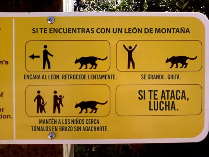 chiste