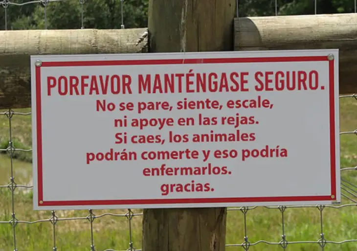 gracioso