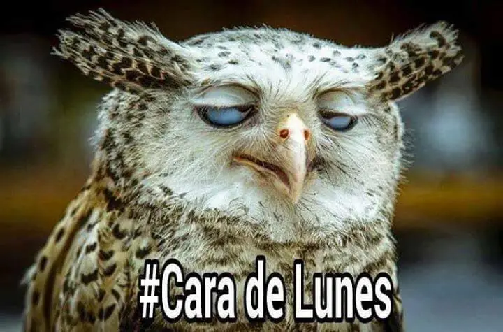 humor