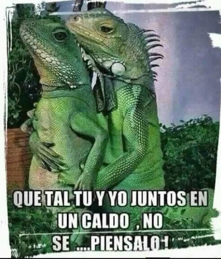imagenes