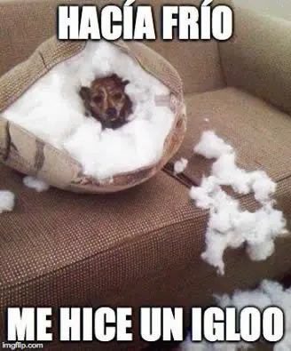 domingo