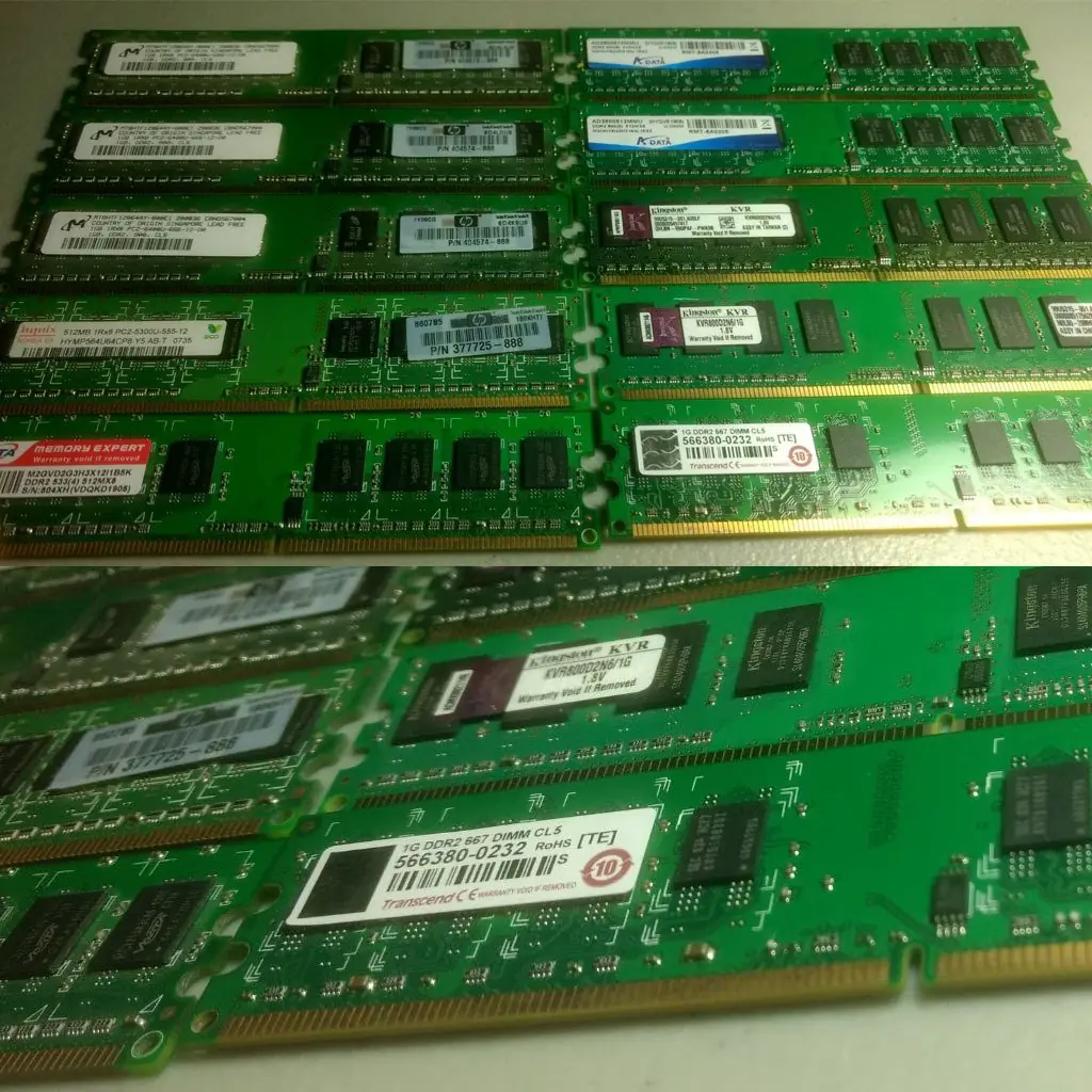 celeron