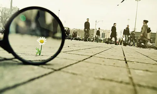 Los 10 descubrimientos psicológicos más impresionantes Los 10 descubrimientos psicológicos más impresionantes