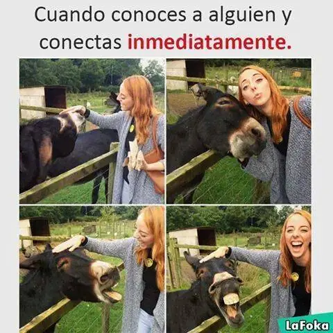 Mirate estas imagenes de humor papa