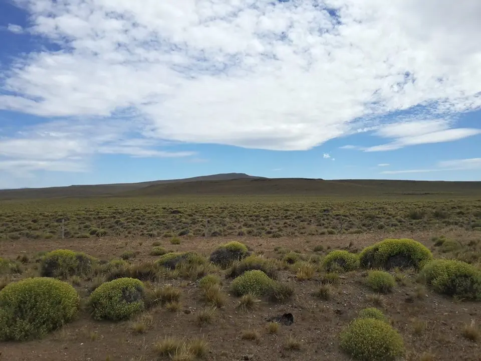 sur argentino
