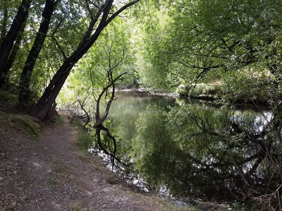 sur argentino