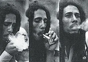 variedad