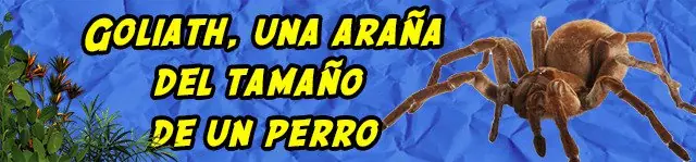 Esto está sucediendo en el Mundo y no quieren que te enteres Esto está sucediendo en el Mundo y no quieren que te enteres