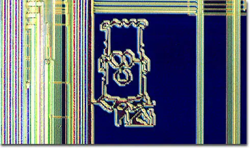 Ram