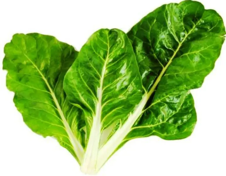 saludables