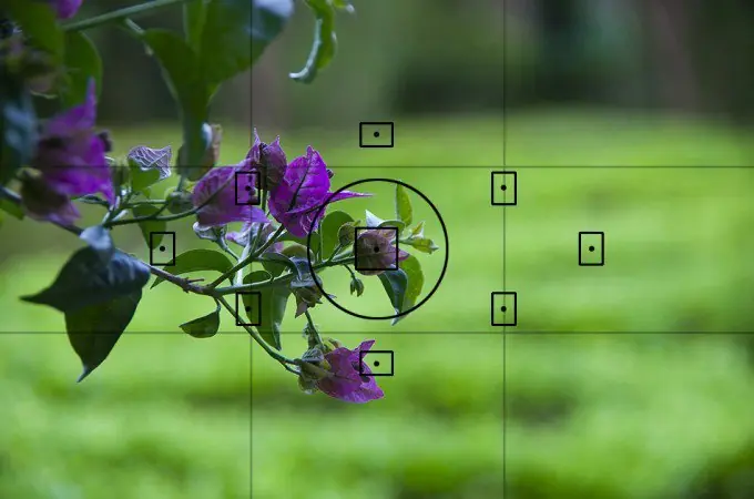 color en fotografias