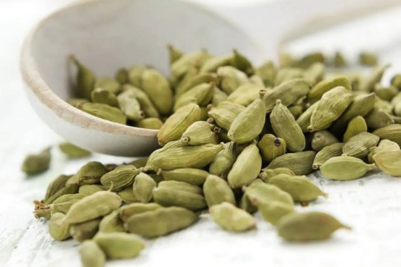 10 Plantas esenciales para tu salud