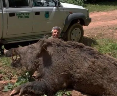 10 Animales gigantes #2